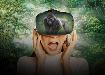 VR Zoo Experiences at Dubai Aquarium You Should Try