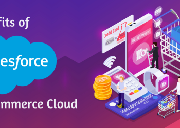 Wonder How Salesforce Commerce Cloud Provides Seamless User Experiences for eCommerce Businesses