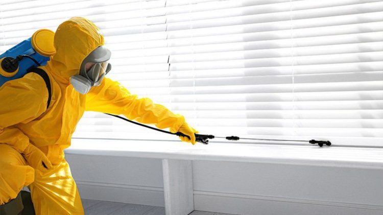 Pest Control A Complete Guide For You