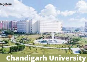 Chandigarh University Online Courses