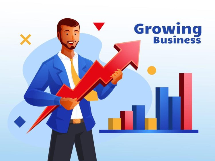 business growth consultant