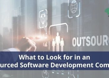 Offshore Custom Software Development Company