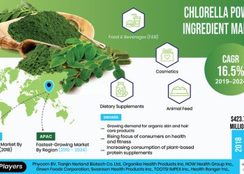 Chlorella Powder Ingredient Market Segmentation Analysis Report